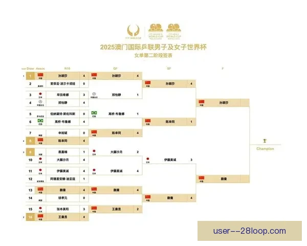 世界杯焦点周国家队备战计划转会风云与密集赛程考验板凳深度